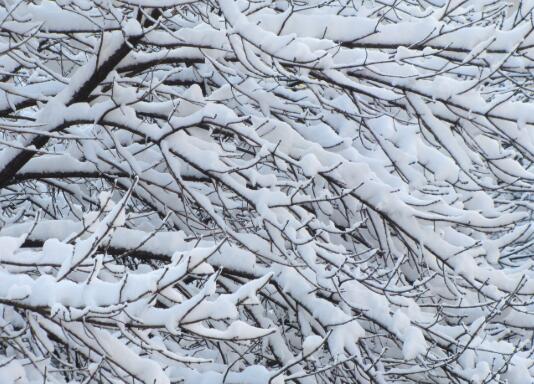 关于雪景的说说