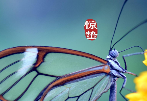 惊蛰的句子说说