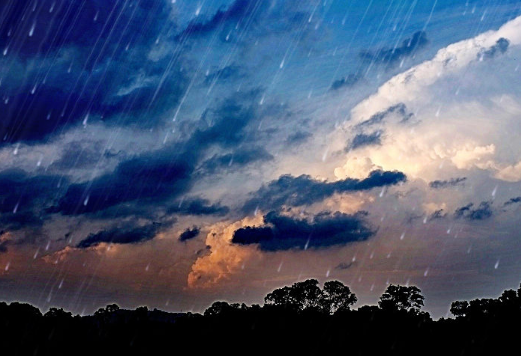 一半心酸一半雨句子