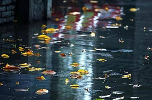 下雨天高情商的撩人情话