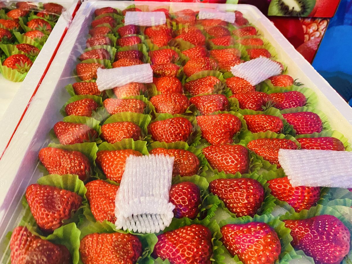 160元一斤的黑草莓引热议：是消费升级还是智商税？