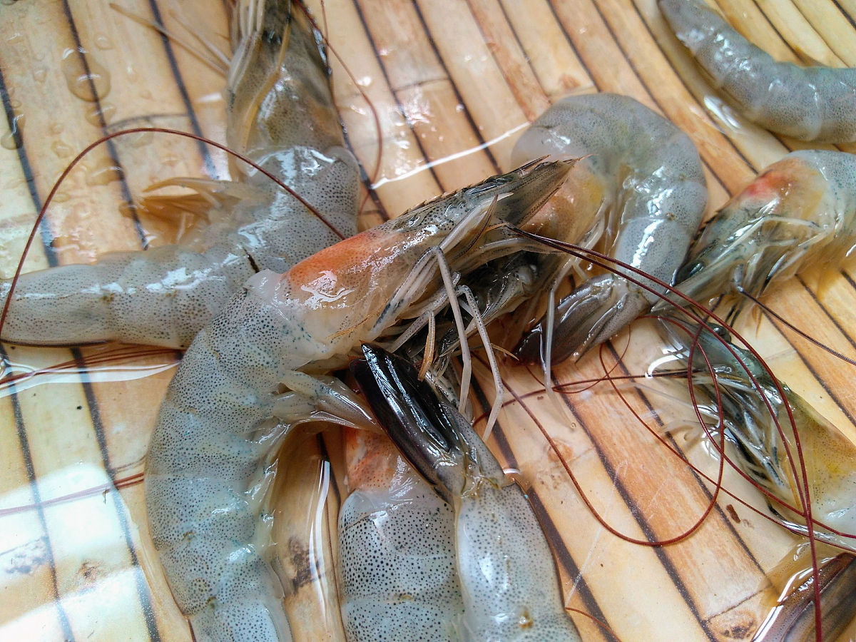 虾煮熟“蓝得吓人”?盒马:可正常食用
