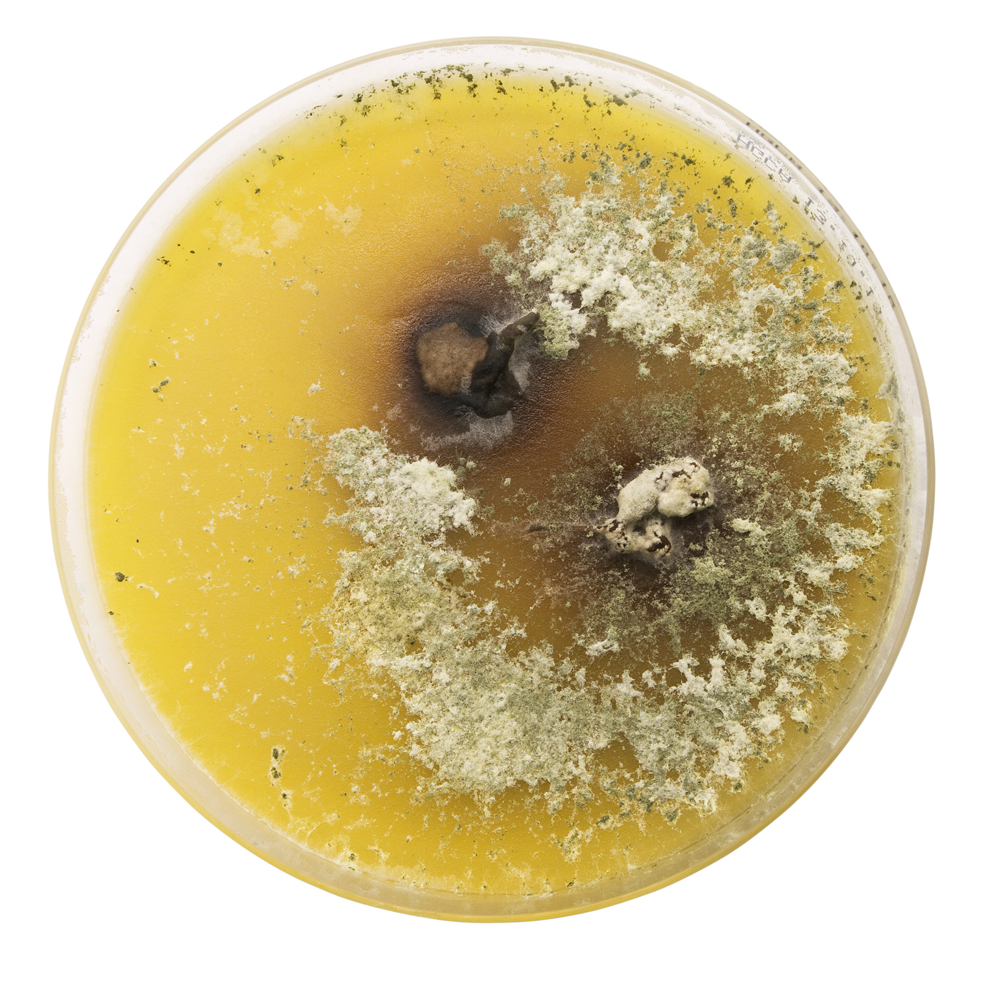 这种致癌物藏在家里 很多人浑然不知