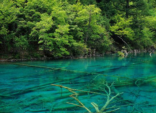 保险口号霸气