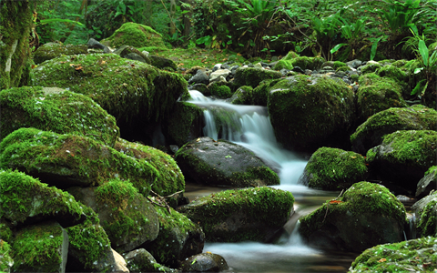 资源之家（风景壁纸） (127).jpg